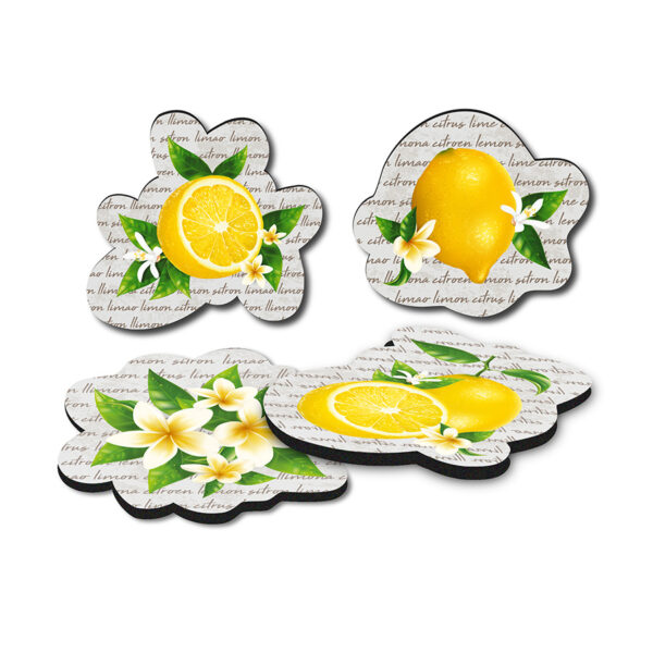 Imánes con Volumen con motivos frutales (limón y flores).