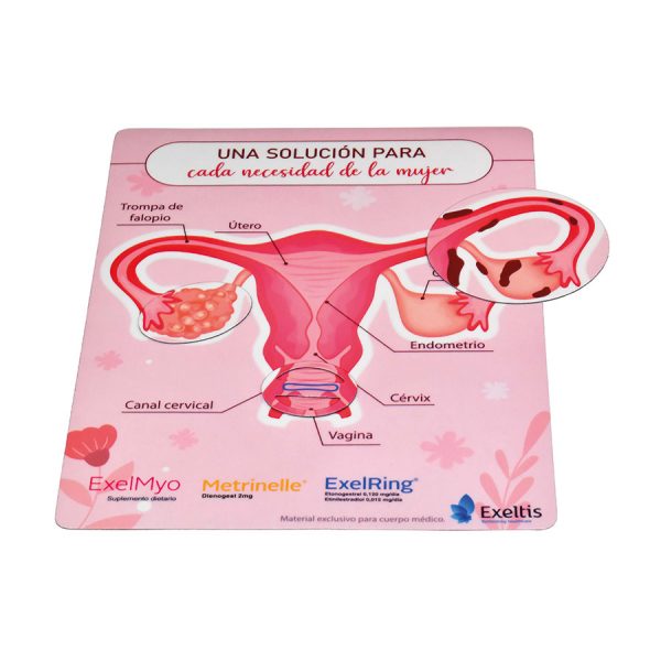 Tablero imantado interactivo con fichas magnéticas para la marca Exeltis.